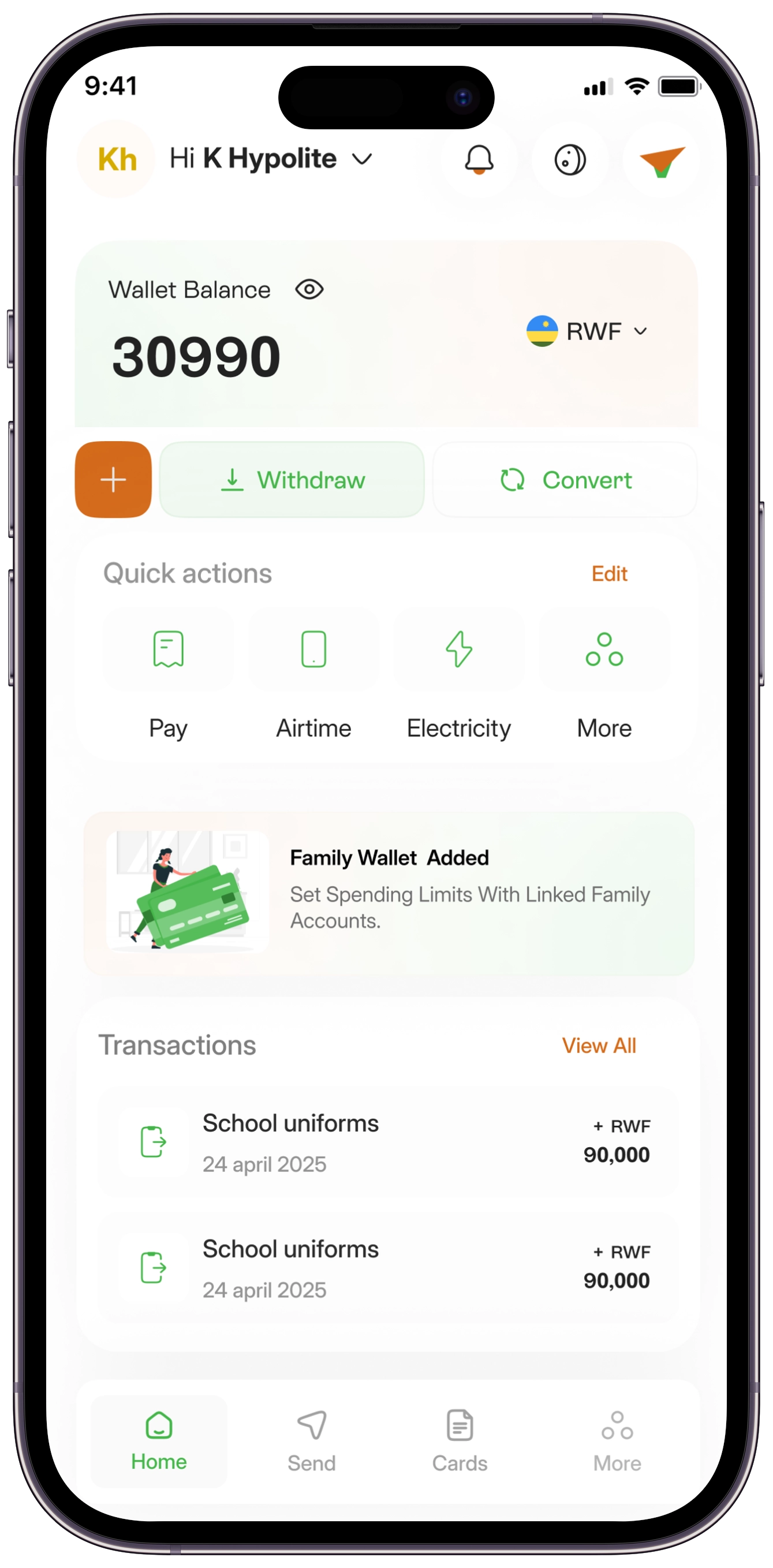 Vidaripay E-Wallet Interface